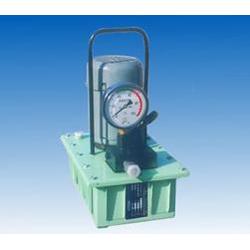 力高液壓設(shè)備今日的質(zhì)量 精品電動(dòng)泵 電動(dòng)泵